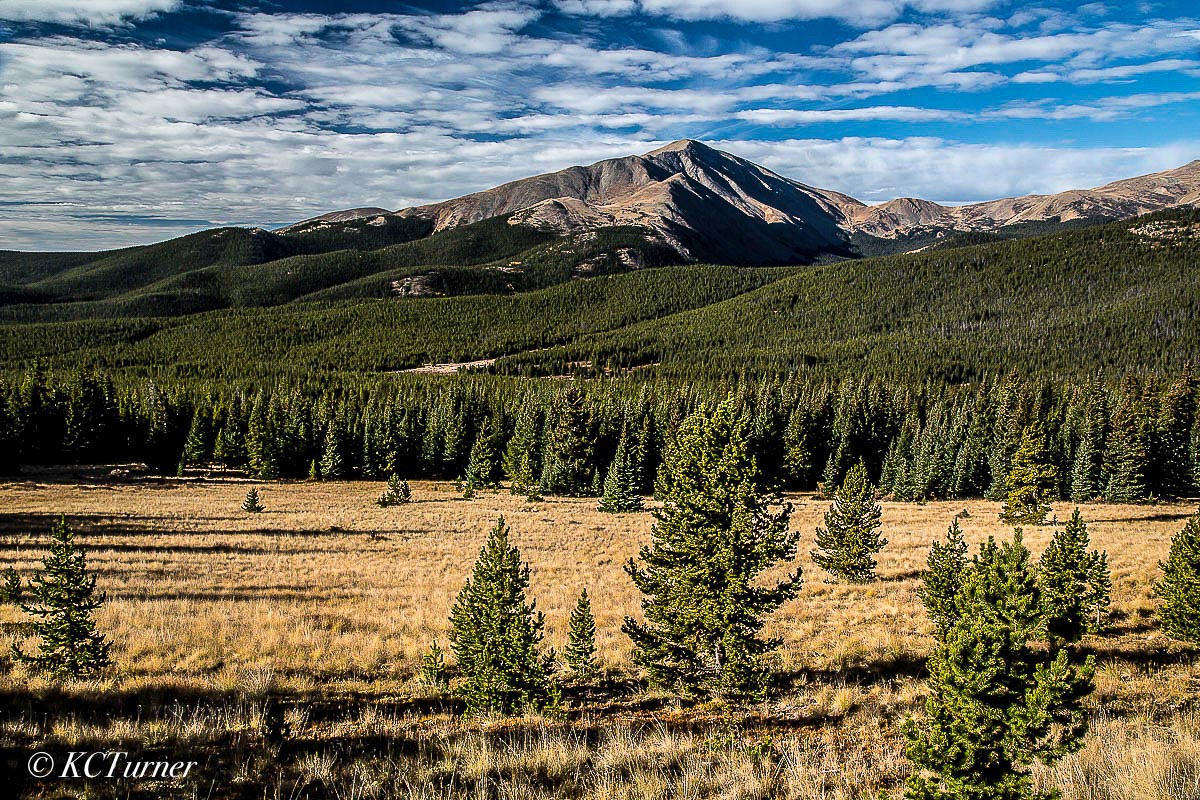 The hills are alive all around this high country area encompassing Boreas Pass and Colorado's Mount Lincoln. Vast, sweeping and...